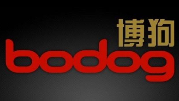 Bodog elege o Brasil para expandir seus negócios na América Latina