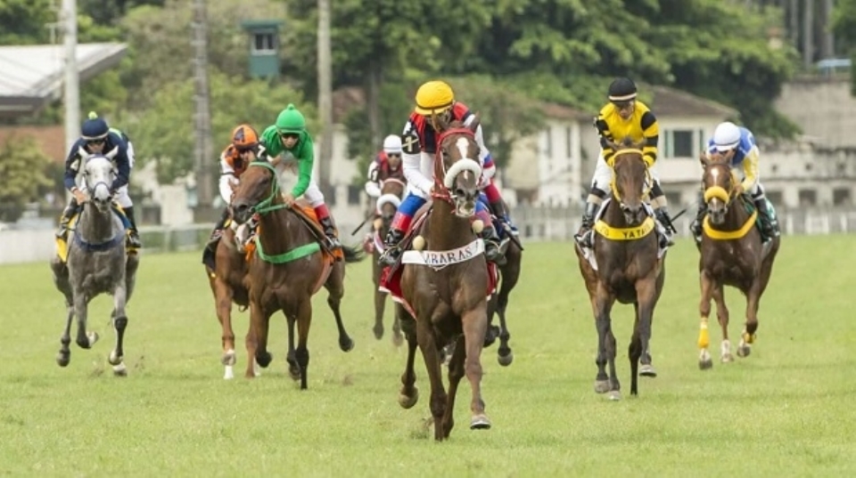 Jockey Club Adia O Festival Do GP Brasil Para Final De Setembro ...