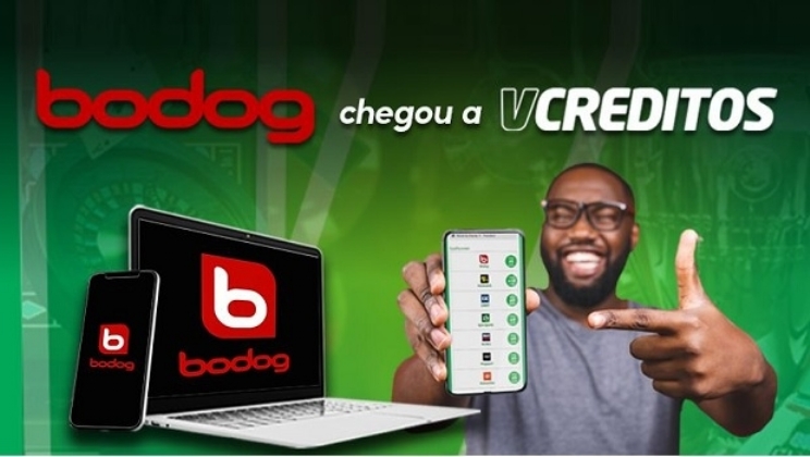 Parceria entre Bodog e VCreditos já oferece muitas vantagens e prêmios