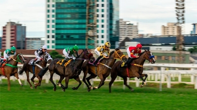 Legalização dos jogos de azar anima setor de corridas de cavalo no