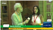 “Brazil is LatAm's best market for Air Dice, that’s why we’ll expand our structure in the country”