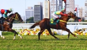 Justiça suspende lei que proíbe corridas de cavalo após pedido do Jockey Club de São Paulo