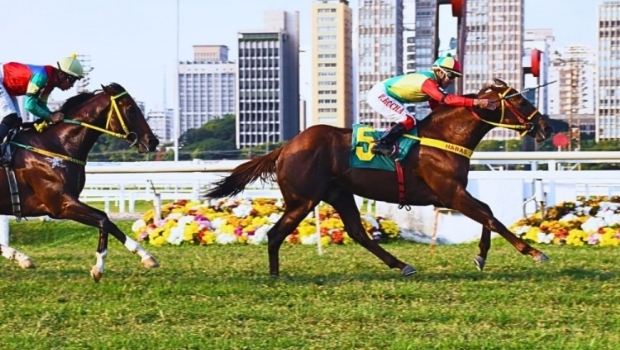 Justiça suspende lei que proíbe corridas de cavalo após pedido do Jockey Club de São Paulo