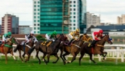 Justiça suspende lei que proibia corrida de cavalos no Jockey Club de São Paulo